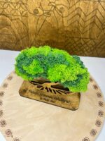 Trofeu cu licheni "Arborele Vieții" - Image 4