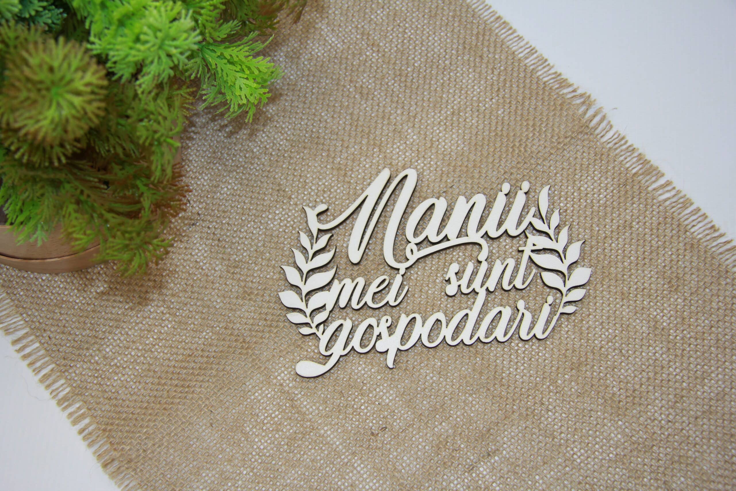 IMG_1707-scaled-2.jpg Topper personalizat "Nanii Mei sunt gospodari" - imagine 1