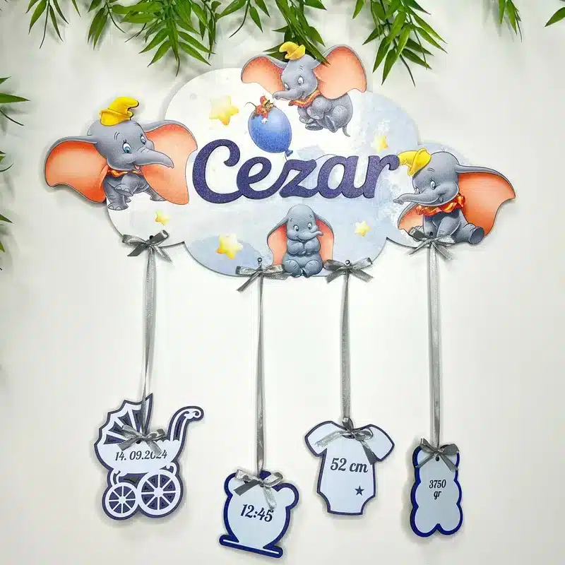 IMG_3248-1.webp Metrică Cezar - MODEL ELEFANT - imagine 1