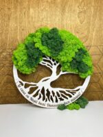 Arborele genealogic al familiei cu licheni
