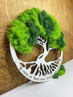 Arborele genealogic al familiei cu licheni - imagine 2