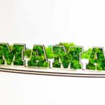 Trofeu cu licheni " Mama"
