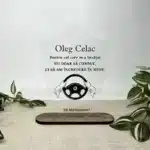 Trofeu "Cel mai bun instructor" - imagine 2
