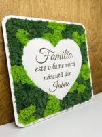 Panou cu lichieni - Image 4