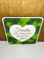 Panou cu lichieni - Image 3