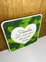 Panou cu lichieni - Image 5