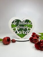 Trofeu cu licheni "Inimă"