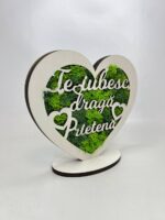 Trofeu cu licheni "Inimă" - Image 8