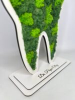 Trofeu "Dinte" pentru stomatolog - Image 3