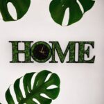 Ceas "Home" cu licheni
