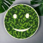 Panou "Smile" cu licheni