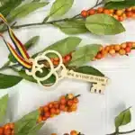 Medalie (medalii) "Cheie"